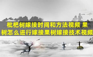 枇杷树嫁接时间和方法视频 果树怎么进行嫁接果树嫁接技术视频